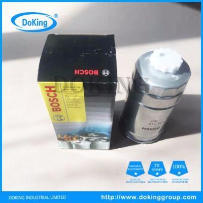 China Professional Factory Bosch Fuel Filter 1457434310for KIA/Hyundai