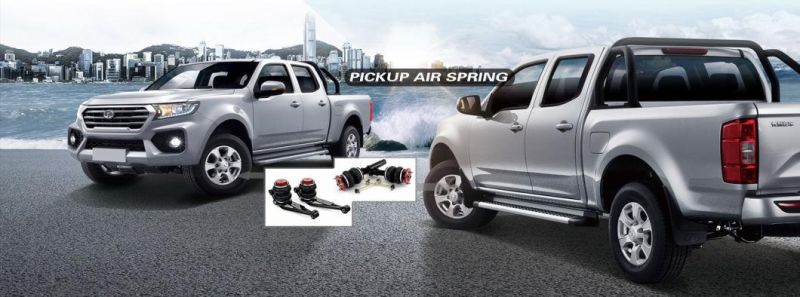 Car Accessory High Quality Rear Left Air Bellow Suspension for Lexus Gx470 4809035011