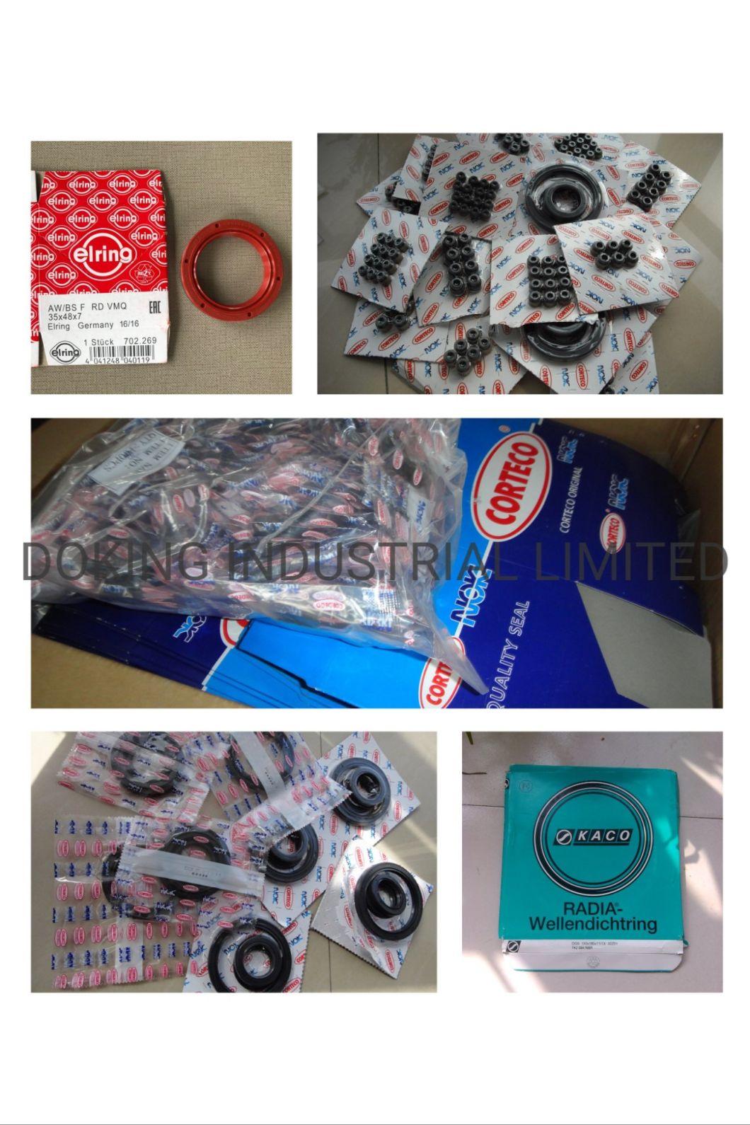 NBR Oil Seal with Nylon Ring for Car