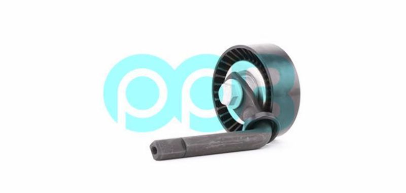 for BMW 3 BMW 5 Engine Parts Tensioner Pully 11287786881 11287807021 Apv2559 Vkm38241