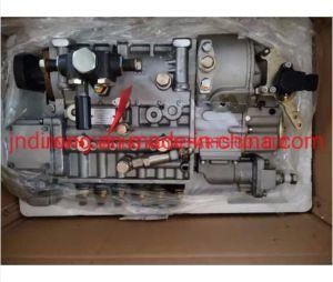 Sinotruk Fuel Injection Pump Vg1092080110 Sinotruk Shacman Foton FAW Truck Spare Parts