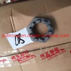 Sinotruk Knuckle Nut Az9100411140 Sinotruk Shacman Foton FAW Truck Spare Parts