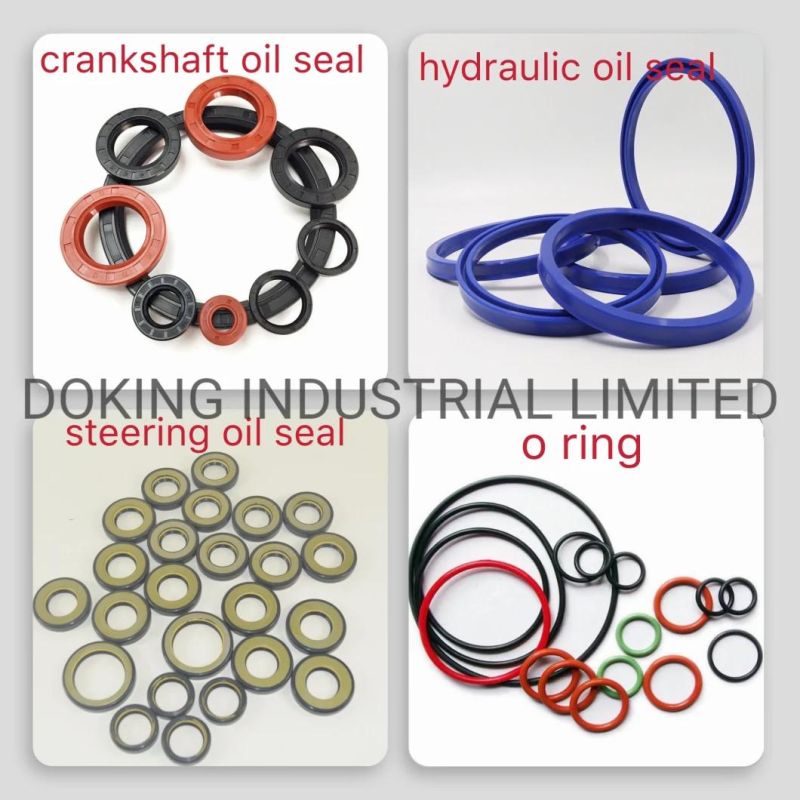 Custom NBR FKM Rubber Shaft Hydraulic Tc Oil Seal