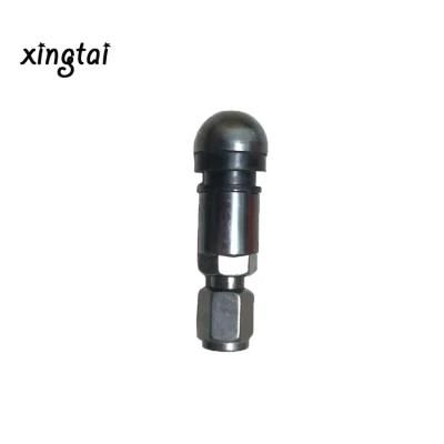 Hot Selling Vacuum Tire Use Metal Valve Nozzles Tire Valves