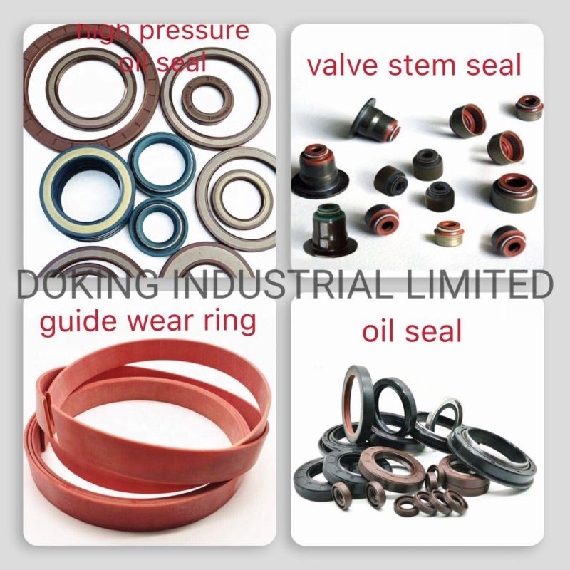 NBR Viton Vmq Rubber O Ring Oil Seal Hydraulic Seal