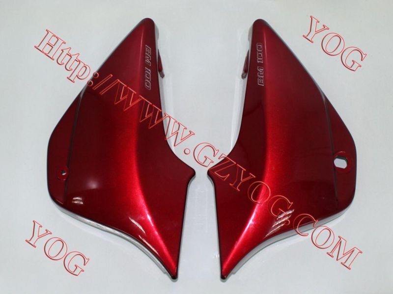 Motorcycle Spare Parts Tank Side Cover for Ranguer150 Tvs Victor Glx125 Gxt200