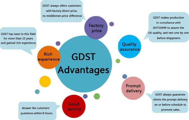 Gdst Wholesale Price Auto Part Shock Absorb for Nissan 334363