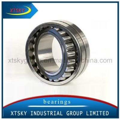 Xtsky Double Row Self-Aligning Roller Bearing (22205)