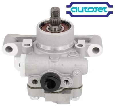 Supplier of Power Steering Pumps for American, British, Japanese and Korean Cars in High Quality