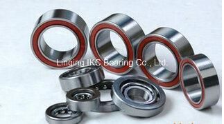 Dac30600337 Front Wheel Bearing Wheel Hub Bearing Auto Bearing 529891ab