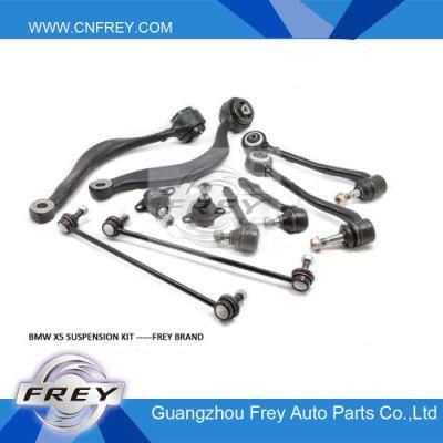 Control Arm Kit for X5 E53 for BMW Frey Auto Parts Suspension System