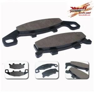 Kawasaki Brake Pads (YL-F059)