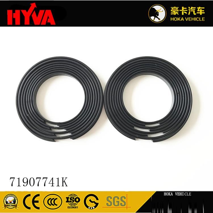Original and High-Quality Hyva Spare Parts Seal Kit for 179-4 71907741K