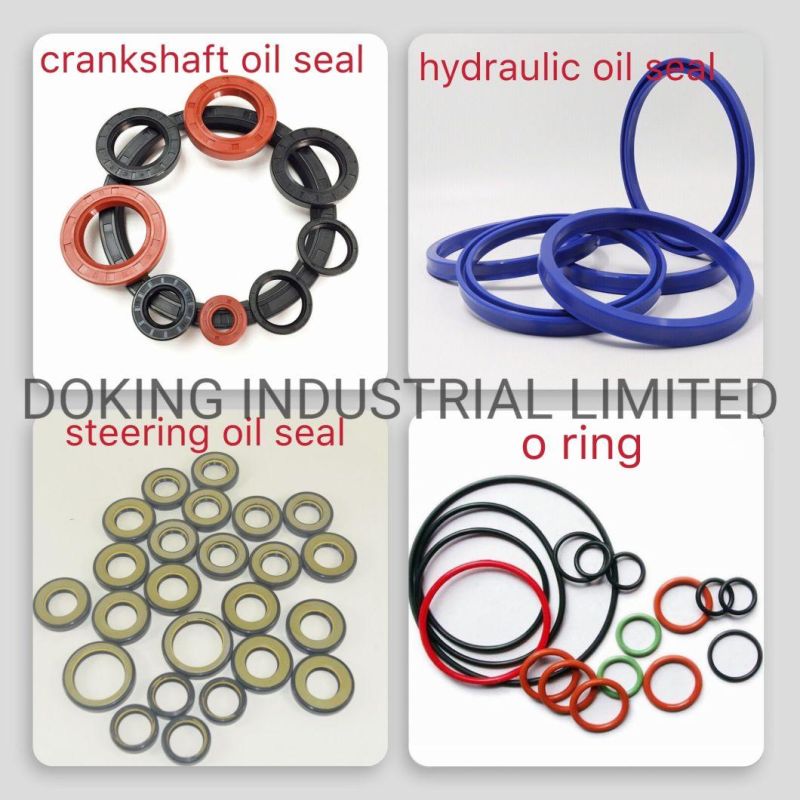 High-End Colored Standard and Nonstandard Rubber O Shape Seal Ring