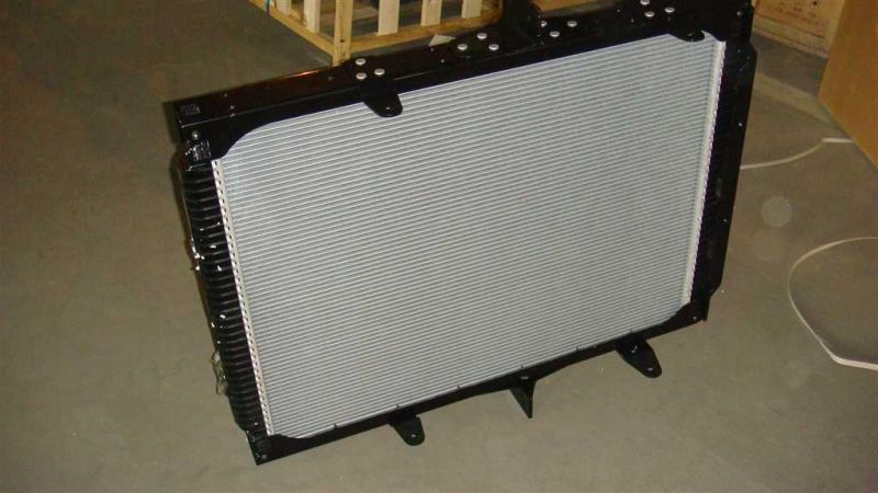 High Power Radiator Wg9918530001 for Sinotruk HOWO