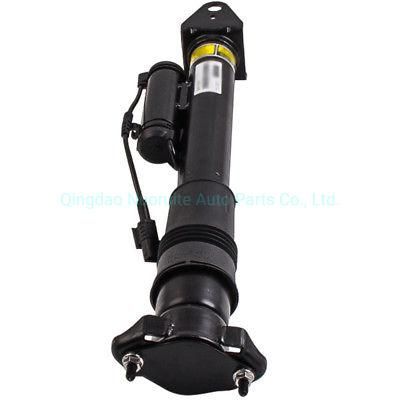 Auto Parts China Rear Air Suspension Shock Absorber Mercedes R-Class W251 R500 R350 R320 2513202231 Strut Air Spring