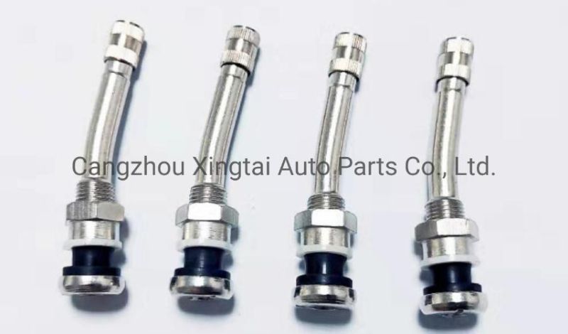Aluminum/Zn Alloy/Copper High Quality Snap in Tubeless Tyre Valve Tr413