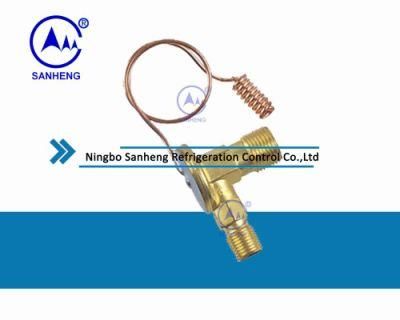 Auto A/C Expansion Valve/Expansion Valve (SH601-1)