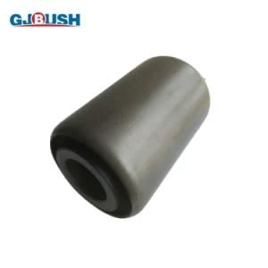 OEM Manufacturer Supply Truck Leaf Spring Bushings, Trailer Leaf Spring Bush 4177301000