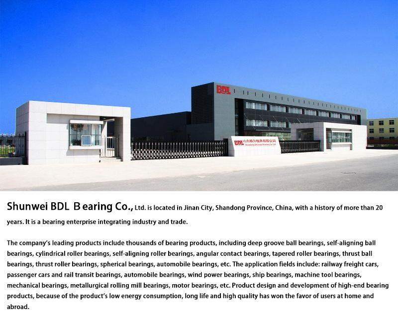 Manufacturing/Customization Toyota/Volkswagen/Renaul T/Ford/Nissan/Hyundai/KIA, etc. Auto Bearing, Wheel Bearings, Auto Parts Bearing