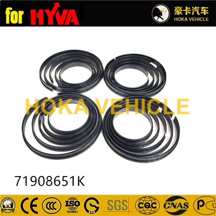 Truck Spare Parts Seal Kit 71908651K for Dump Truck Hyva Hoist System