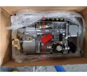 China Supplier Sinotruk HOWO Spare Parts Fuel Injection Pump Vg1092080100 with Good Price