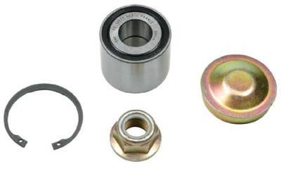 Factory Supply 44782 Qwb1554 051843b 60944782 763635 713645050 N4711075 4419184 Bearing Kit for Car with Good Price