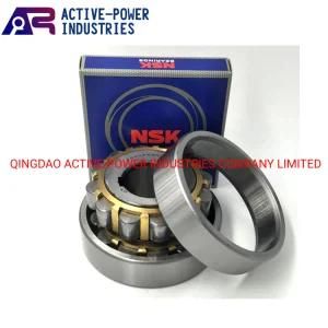 NTN NSK Koyo Bearing Rn204 Eccentric Bearing Rn204m