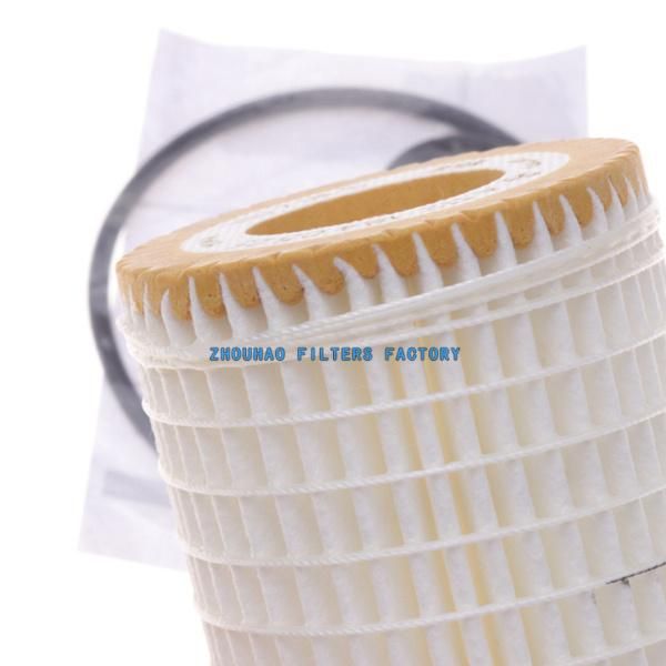 Manufacture Oil Filter Element for Benz Hengst E11HD155 A0001802609