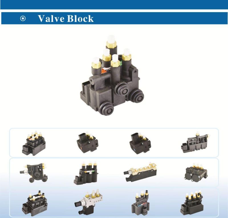 Mercedes Benz S Class W220 Air Suspension Valve Block 2203200258 2203200358