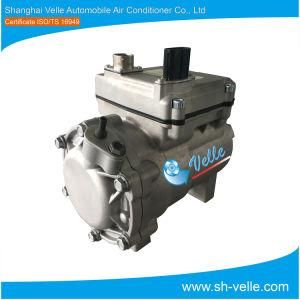 Electric Auto A/C Newely-Developed Compressor