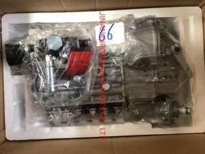 Sinotruk Injection Pump Vg1093080180 Sinotruk Shacman Foton FAW Truck Spare Parts