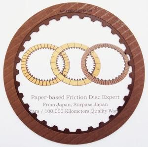 Friction Disc (319702-160)