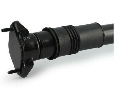 W251 Rear Air Shock Absorber Without Ads for Benz Auto Parts