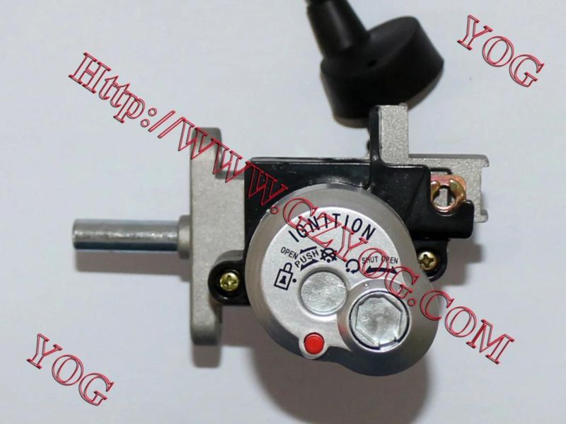 Motorcycle Parts Motorcycle Ignition Switch for FT180 Fz16