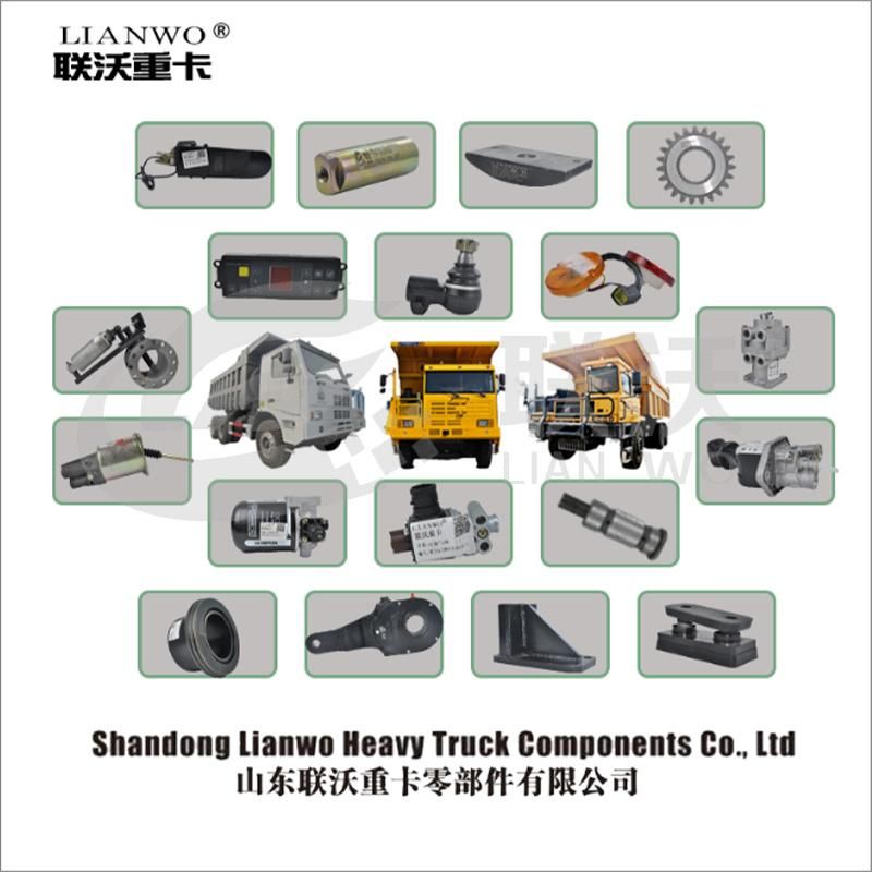 Original Truck Spare Parts Clutch Master Cylinder Dz97189230522 for Shacman Truck