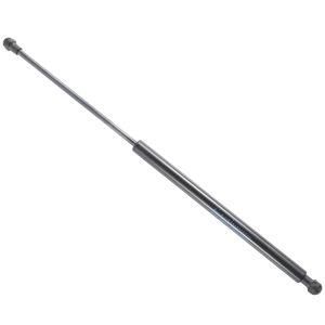 OEM Number Car Trunk Gas Lift Struts