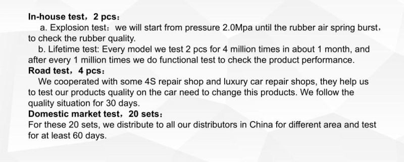 Chinese Factory Supplier Car Shock Absorber Air Suspension Spring Repair Kits for Mercedes Benzs-Class (W221) Left/Right Rear 221 320 55 13