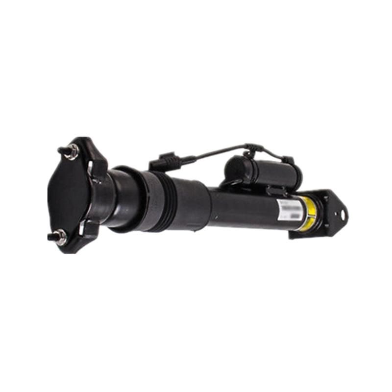 Top Sale Car Spare Kit Rear Air Suspension Shock Absorber Air Strut Spring for W251 2513202231 2513200931