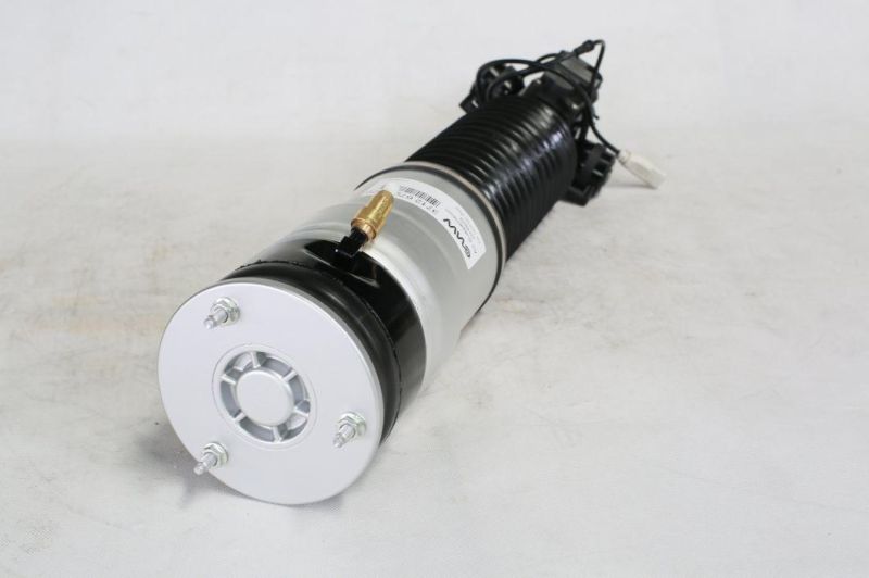 Rear Left Self-Leveling Air Suspension Air Strut BMW 7 Series F02- OEM Replacement