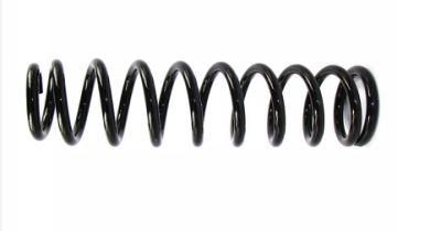 High Quality Plastic Coil Spring, Manufacturer with ISO