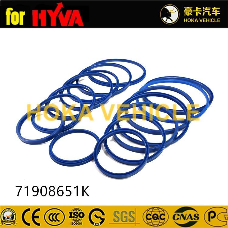 Truck Spare Parts Seal Kit 71908651K for Dump Truck Hyva Hoist System