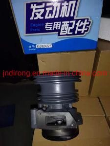 Chinese Heavy Truck Auto Spare Part for Chinese Heavy Truck HOWO 61500060229 Water Pump