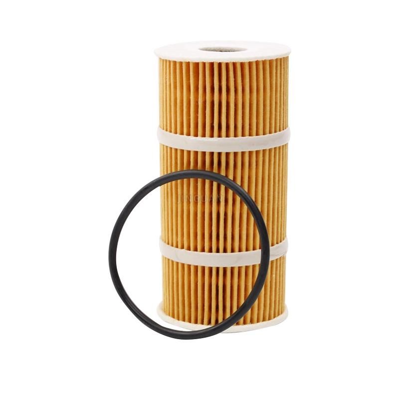 Spare Engine Accessories Parts Eco Oil Filter 6221800009 OEM / 4207841 / 71754237 / 55224598