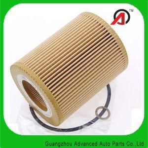 Moderate Cost Auto Oil Filter for BMW (11427512300)