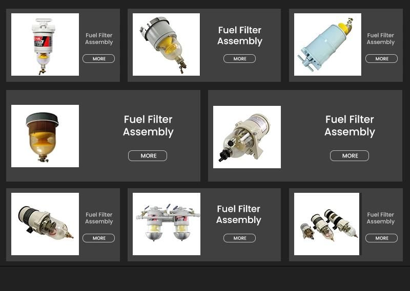 Fuel Filter Engine Parts for Man P550127 Generator Filter