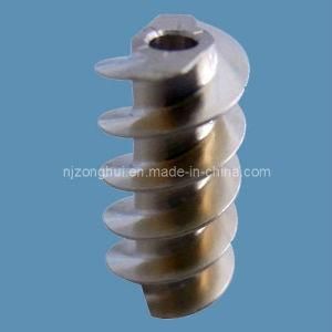 Worm Gear