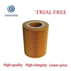 Factory Supply Good Quality Oil Filter Cartridge Lr001419 30750013 for Land Rover Ford