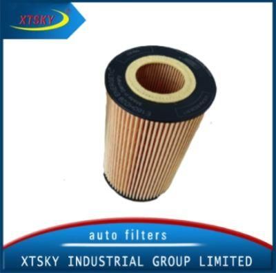 High Efficiency Oil Filter for Mercedes-Benz/Deutz Truck Element Filter E160h01d28