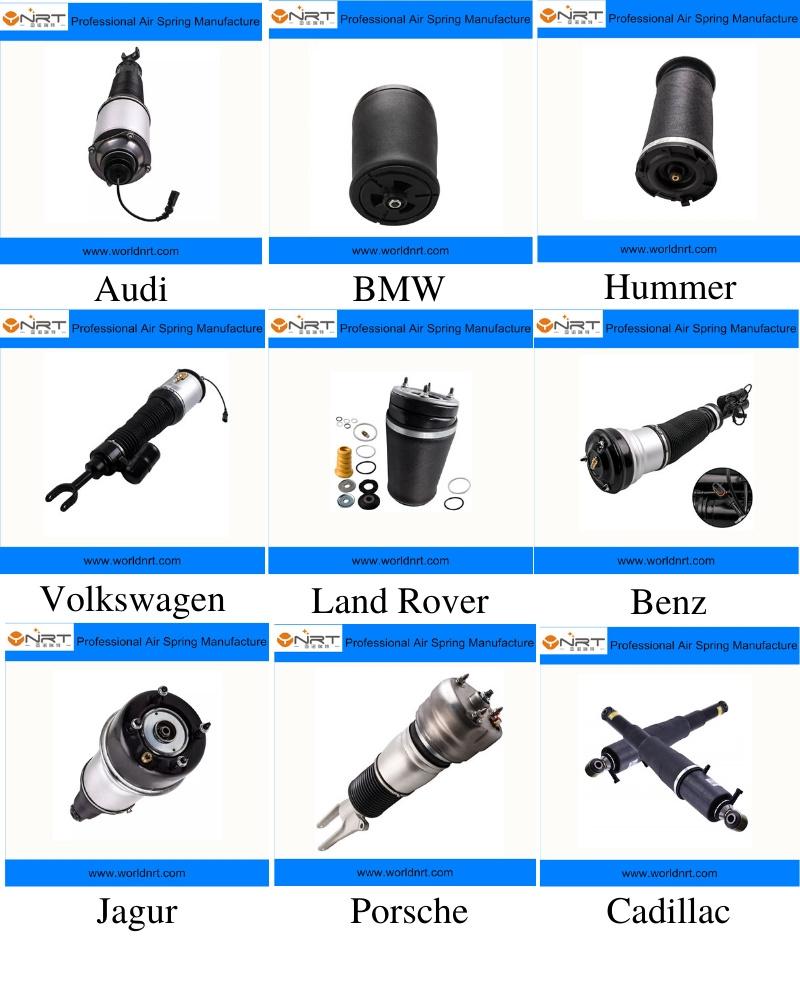 Top Sale Air Shock Absorber for W164 1643202431 1643200731 1643200731 Rear Car Model Spare Parts Made in China